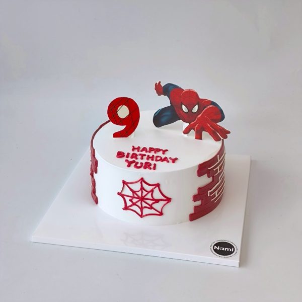 Spiderman Boy Cake - Image 4