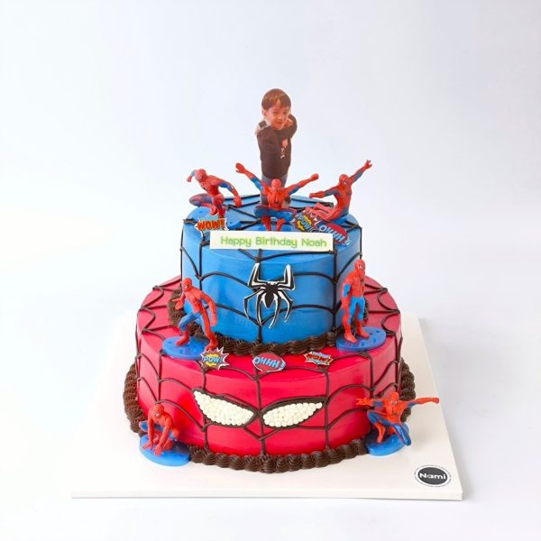 Spiderman Boy Cake - Image 8